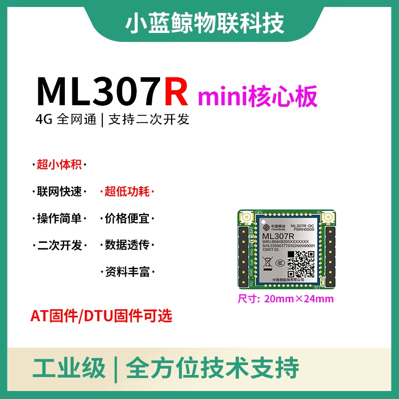 ML307R